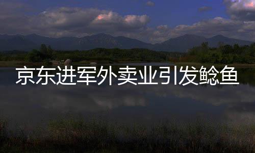 京東進(jìn)軍外賣業(yè)引發(fā)鯰魚效應(yīng)