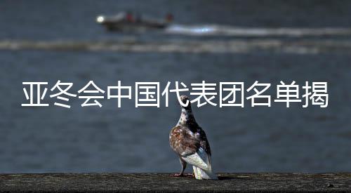 亞冬會中國代表團名單揭曉，谷愛凌領(lǐng)銜，健兒蓄勢待發(fā)