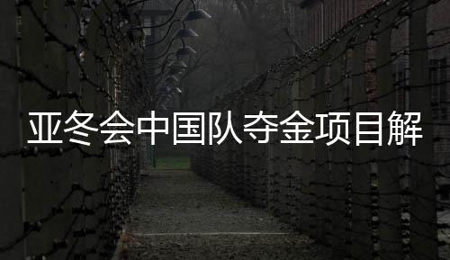 亞冬會中國隊奪金項目解析，哪些項目成就輝煌？