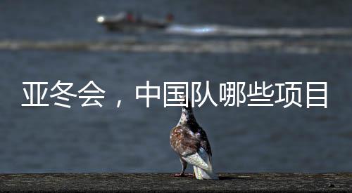 亞冬會，中國隊哪些項目奪金最多？盤點奪冠熱門領(lǐng)域