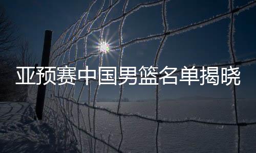 亞預賽中國男籃名單揭曉，精英齊聚，期待鋒芒畢露