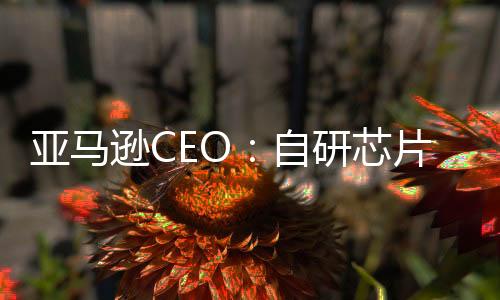 亞馬遜CEO：自研芯片將助力AI成本下降 今年計劃支出千億美元