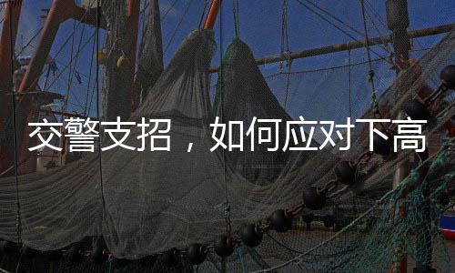 交警支招，如何應(yīng)對(duì)下高速不在免費(fèi)時(shí)段的情況