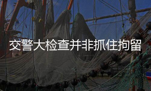 交警大檢查并非抓住拘留，澄清謠言