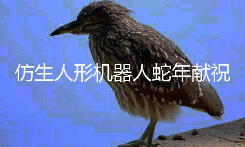 仿生人形機(jī)器人蛇年獻(xiàn)祝福迎蛇年新春，科技獻(xiàn)上獨(dú)特祝福