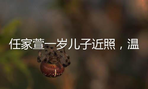任家萱一歲兒子近照，溫馨家庭時(shí)光見證成長足跡