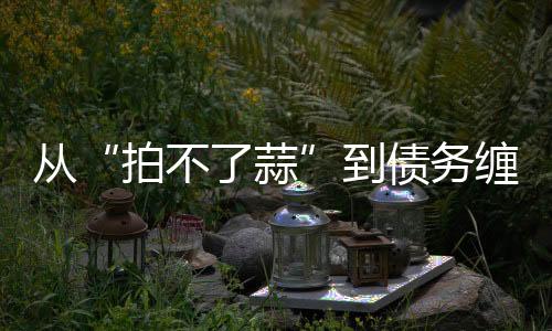 從“拍不了蒜”到債務(wù)纏身，400年的張小泉怎么了？
