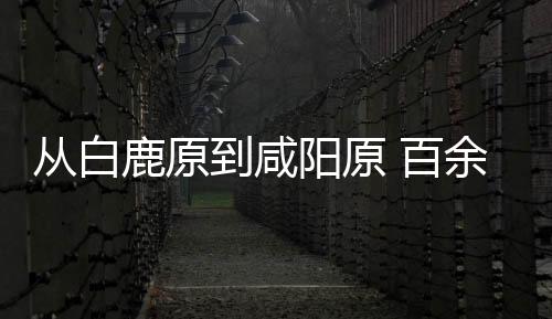 從白鹿原到咸陽(yáng)原 百余件文物展現(xiàn)“文景之治”