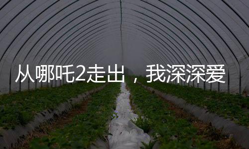 從哪吒2走出，我深深愛上了申公豹