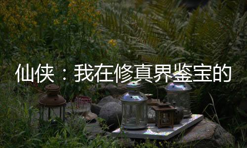 仙俠：我在修真界鑒寶的日子