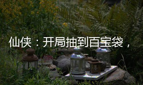 仙俠：開(kāi)局抽到百寶袋，我無(wú)敵了
