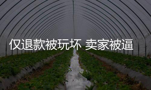 僅退款被玩壞 賣(mài)家被逼瘋：建議建立商家申訴處理機(jī)制