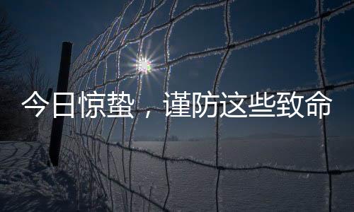 今日驚蟄，謹(jǐn)防這些致命的小東西