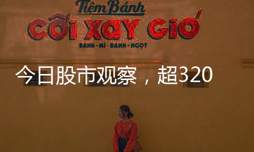 今日股市觀察，超3200只個(gè)股上漲，市場(chǎng)熱度持續(xù)升溫