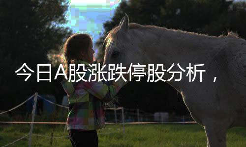 今日A股漲跌停股分析，140只股票漲停，市場走勢獨(dú)特