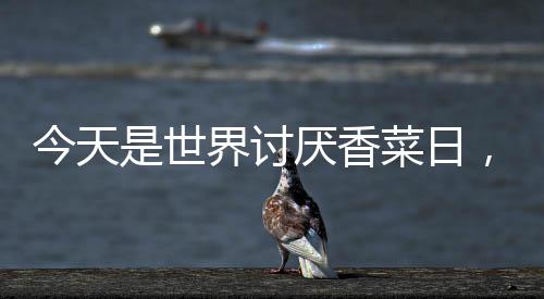 今天是世界討厭香菜日，一場關(guān)于味覺偏好的奇妙盛宴