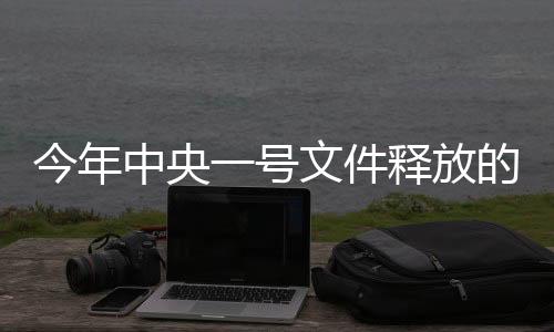 今年中央一號文件釋放的新信號，政策動向與未來展望