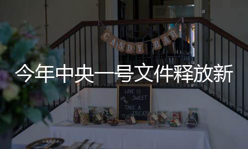 今年中央一號文件釋放新信號，農(nóng)村改革與發(fā)展的重大舉措展望