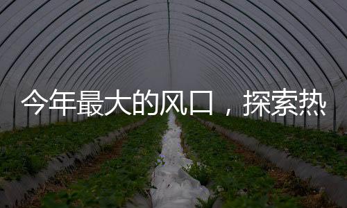 今年最大的風口，探索熱點話題的全貌