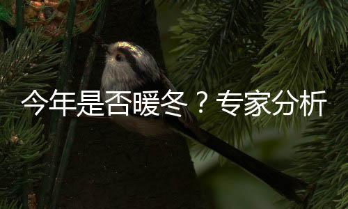 今年是否暖冬？專家分析