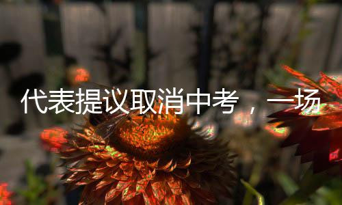 代表提議取消中考，一場關(guān)于教育改革的深度探討