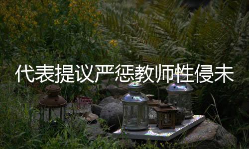 代表提議嚴(yán)懲教師性侵未成年人，守護(hù)校園安全的迫切需求