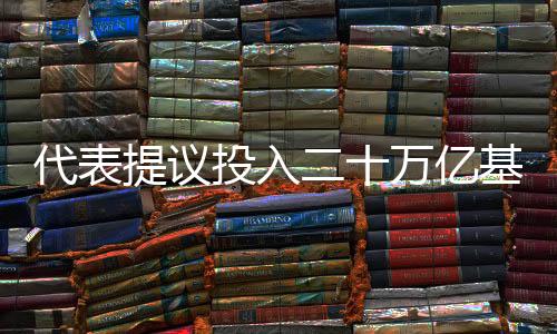 代表提議投入二十萬億基金激活股市樓市，全面振興資本市場(chǎng)的戰(zhàn)略舉措