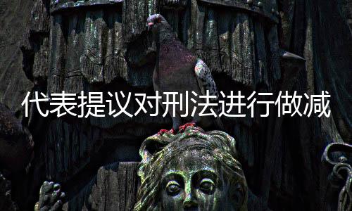 代表提議對刑法進(jìn)行做減法，尋求更精準(zhǔn)的司法公正與人文關(guān)懷