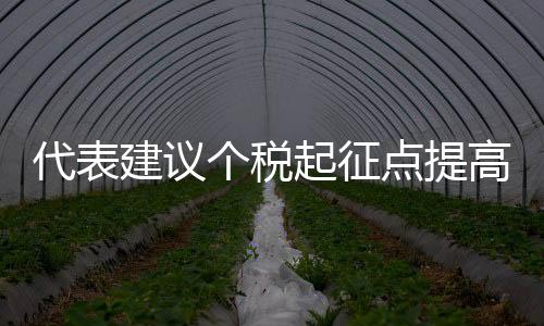 代表建議個稅起征點提高至10萬元，深化稅收改革，優(yōu)化民生福祉