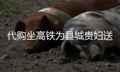 代購坐高鐵為縣城貴婦送上萬元蛋糕，跨越距離的美食情緣