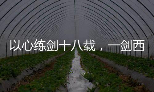 以心練劍十八載，一劍西來(lái)仙人驚