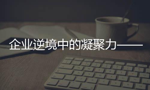 企業(yè)逆境中的凝聚力——高管自愿降薪20%直至盈利