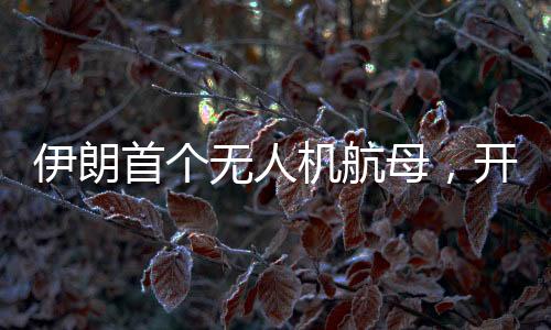 伊朗首個無人機航母，開啟新時代軍事科技新篇章