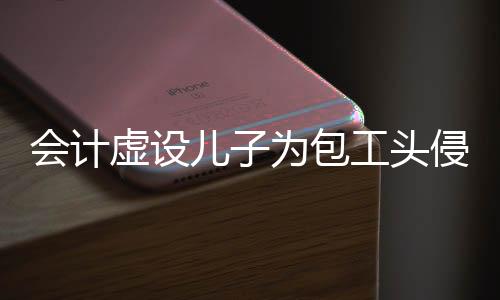 會(huì)計(jì)虛設(shè)兒子為包工頭侵占公款，揭開一起2200萬巨額財(cái)務(wù)欺詐案