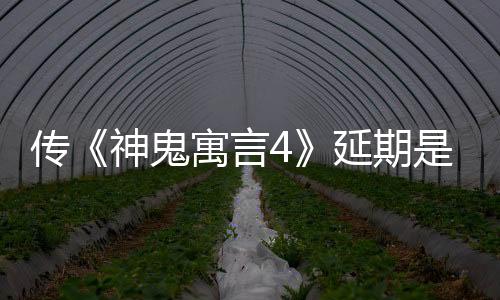 傳《神鬼寓言4》延期是由于 “技術(shù)問題” 而非移植其他平臺