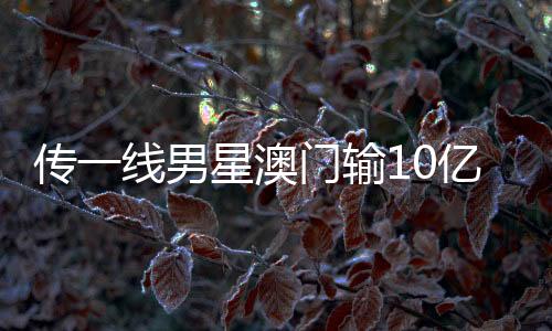 傳一線男星澳門輸10億，微博CEO回應(yīng)，真相待揭曉