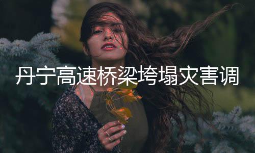 丹寧高速橋梁垮塌災(zāi)害調(diào)查評(píng)估報(bào)告