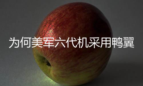 為何美軍六代機采用鴨翼設計并不被看好