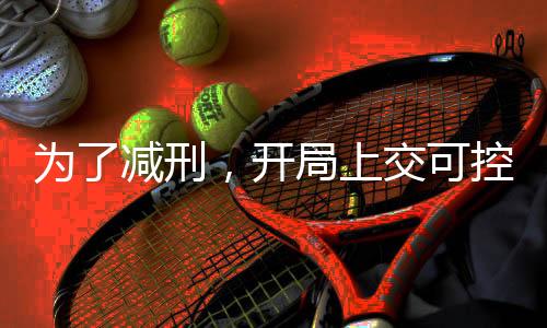 為了減刑，開局上交可控核聚變