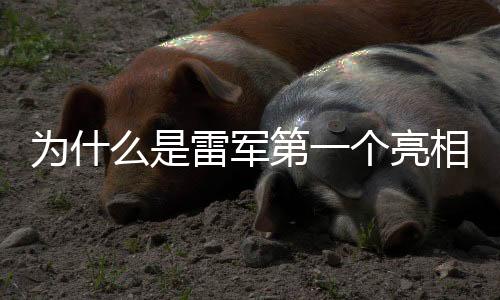 為什么是雷軍第一個(gè)亮相代表通道，解析企業(yè)家影響力與社會(huì)責(zé)任的聯(lián)動(dòng)效應(yīng)