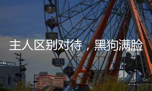 主人區(qū)別對待，黑狗滿臉委屈