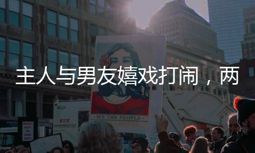 主人與男友嬉戲打鬧，兩只愛犬默契配合上演假打戲碼