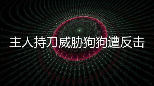 主人持刀威脅狗狗遭反擊，引發(fā)社會(huì)關(guān)注