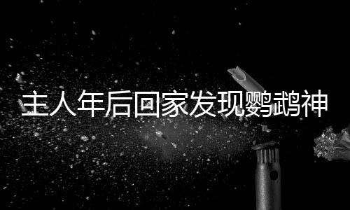 主人年后回家發(fā)現(xiàn)鸚鵡神奇開籠拆家——一場人與寵物的奇妙故事