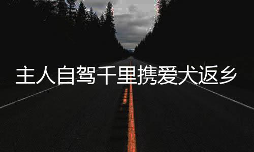 主人自駕千里攜愛(ài)犬返鄉(xiāng)，跨越萬(wàn)里的旅程見(jiàn)證情感深長(zhǎng)