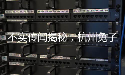 不實(shí)傳聞揭秘，杭州兔子警官崗位上被撞事件