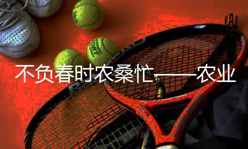 不負(fù)春時(shí)農(nóng)桑忙——農(nóng)業(yè)生產(chǎn)的春天盛宴