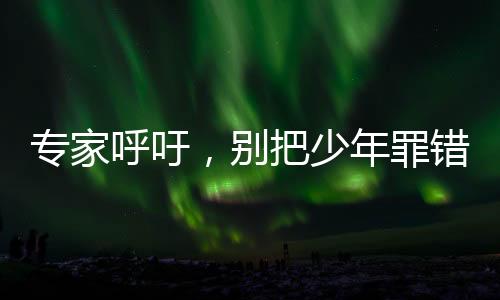 專家呼吁，別把少年罪錯(cuò)都只推向刑法