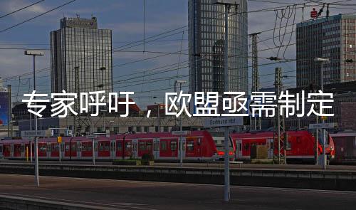 專(zhuān)家呼吁，歐盟亟需制定獨(dú)立外交政策