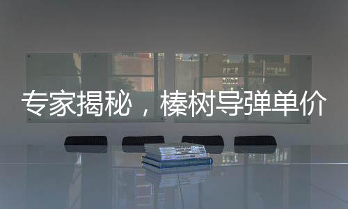 專家揭秘，榛樹導彈單價或超5000萬美元，引發(fā)國際關(guān)注